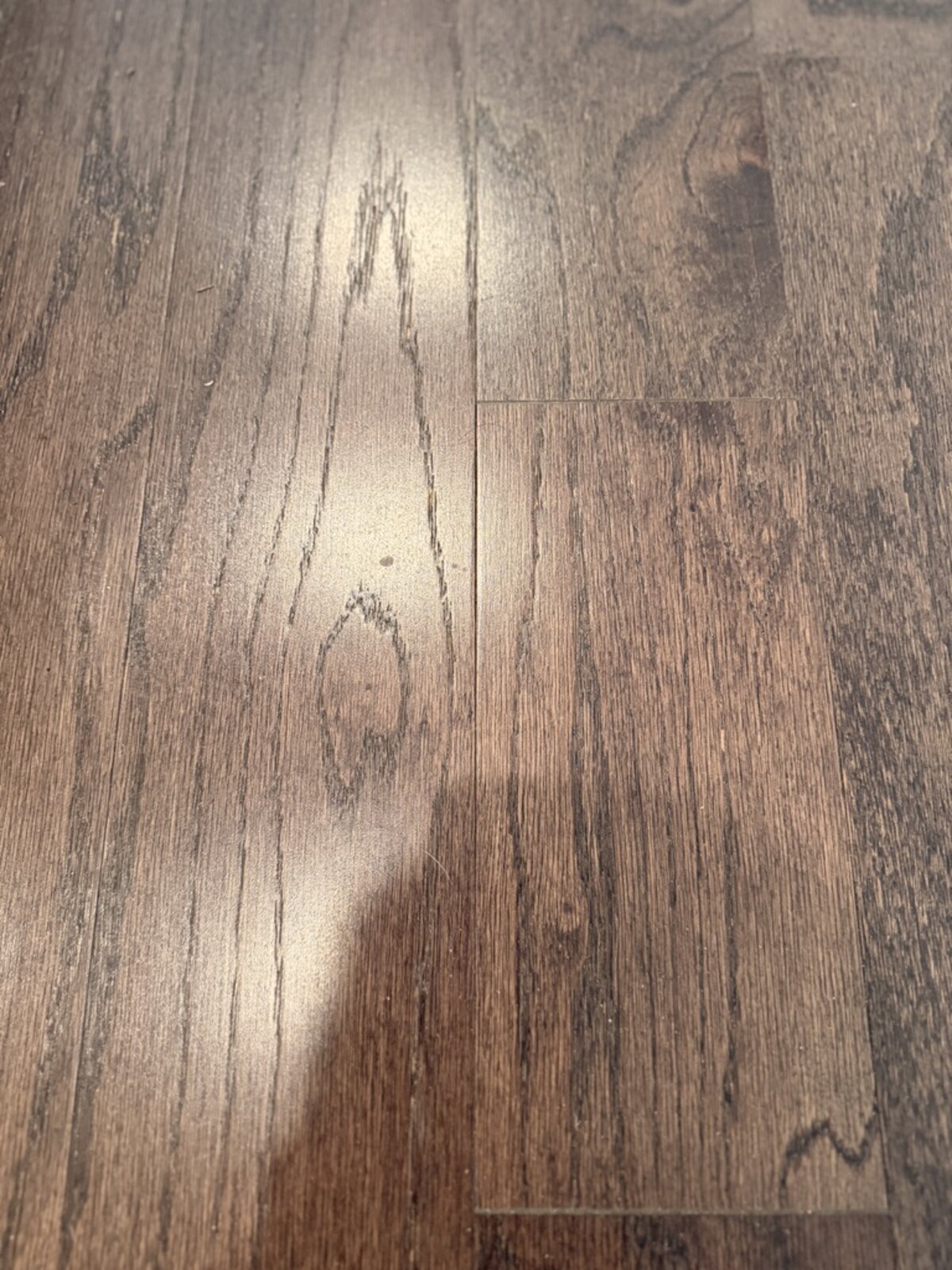 Plush Carpet — Cedar Park